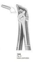  Fig. 8 lower premolars 